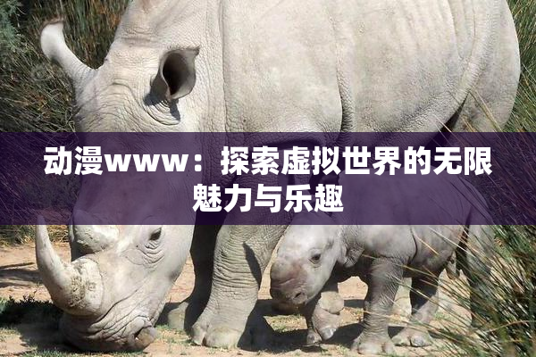 动漫www：探索虚拟世界的无限魅力与乐趣