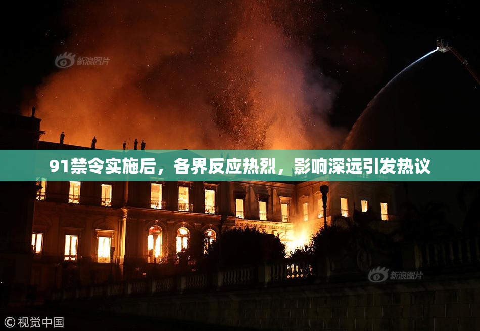 91禁令实施后，各界反应热烈，影响深远引发热议