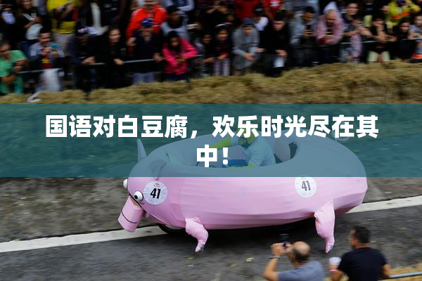 国语对白豆腐，欢乐时光尽在其中！