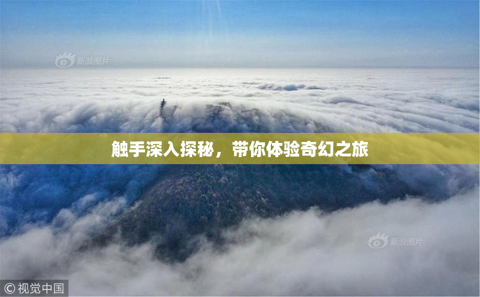 触手深入探秘，带你体验奇幻之旅