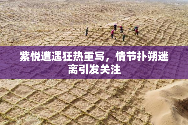 紫悦遭遇狂热重写，情节扑朔迷离引发关注