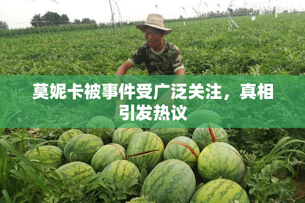 莫妮卡被事件受广泛关注，真相引发热议