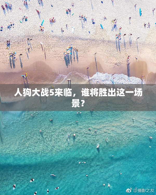 人狗大战5来临，谁将胜出这一场景？