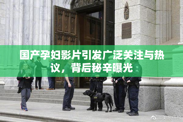 国产孕妇影片引发广泛关注与热议，背后秘辛曝光