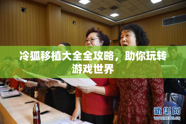 冷狐移植大全全攻略，助你玩转游戏世界