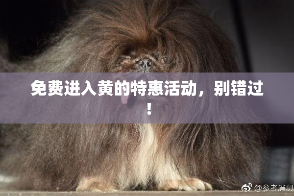 免费进入黄的特惠活动，别错过！