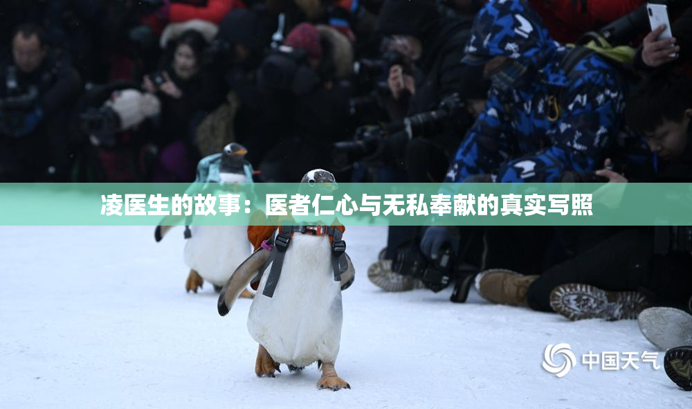 凌医生的故事：医者仁心与无私奉献的真实写照