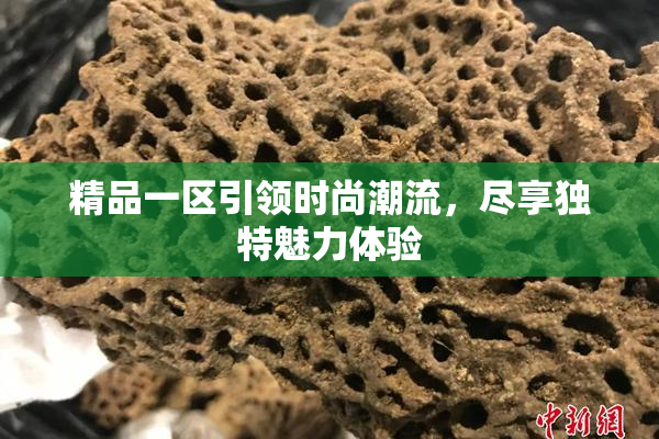 精品一区引领时尚潮流，尽享独特魅力体验
