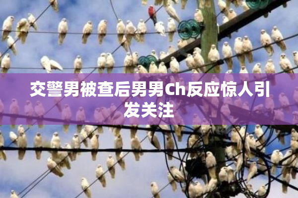 交警男被查后男男Ch反应惊人引发关注