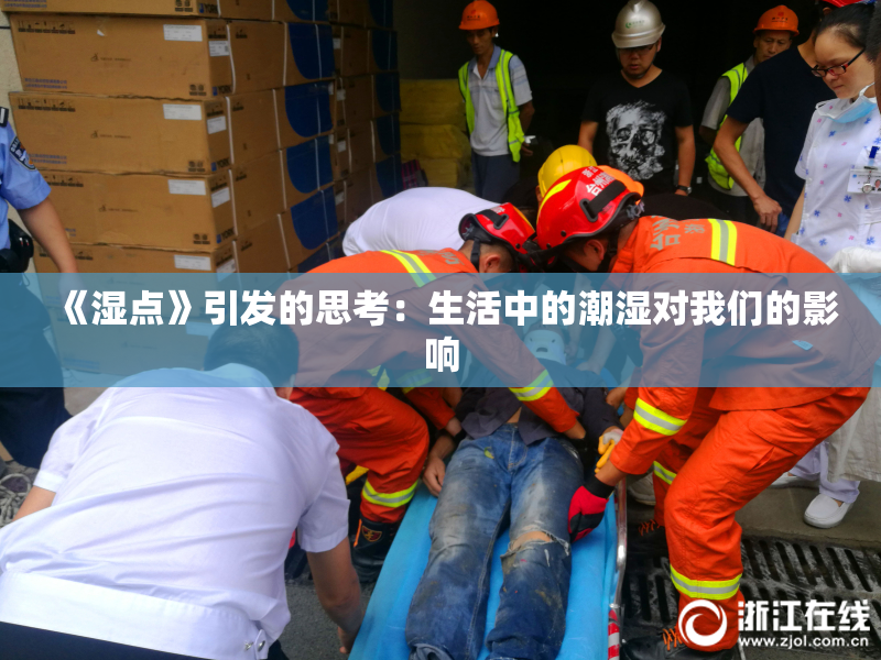 《湿点》引发的思考：生活中的潮湿对我们的影响