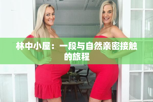 林中小屋：一段与自然亲密接触的旅程