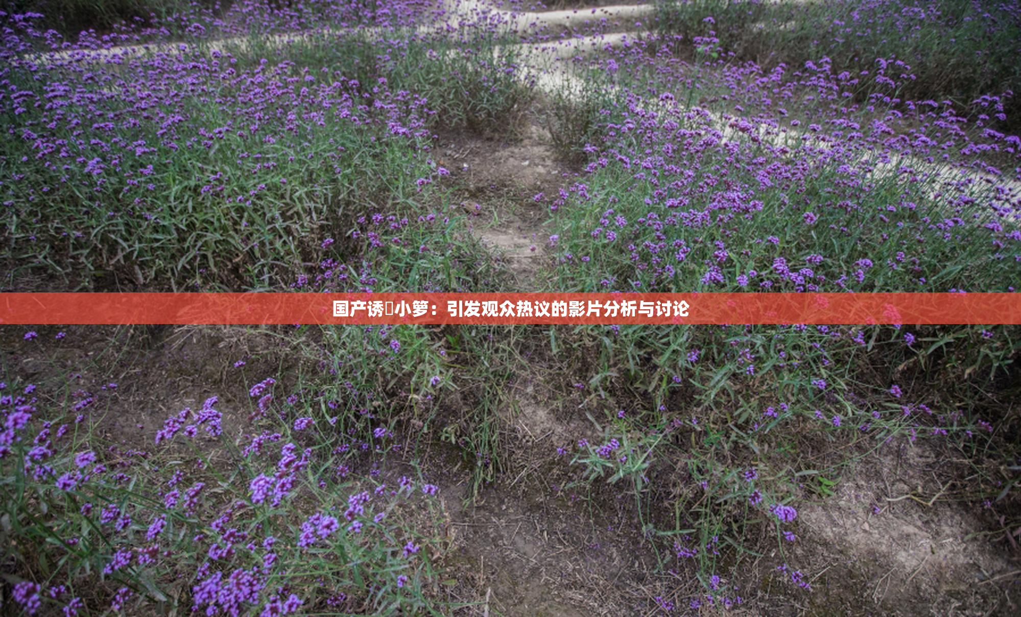国产诱奷小箩：引发观众热议的影片分析与讨论