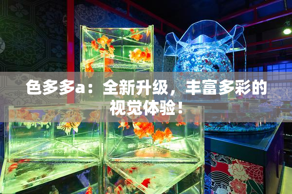 色多多a：全新升级，丰富多彩的视觉体验！