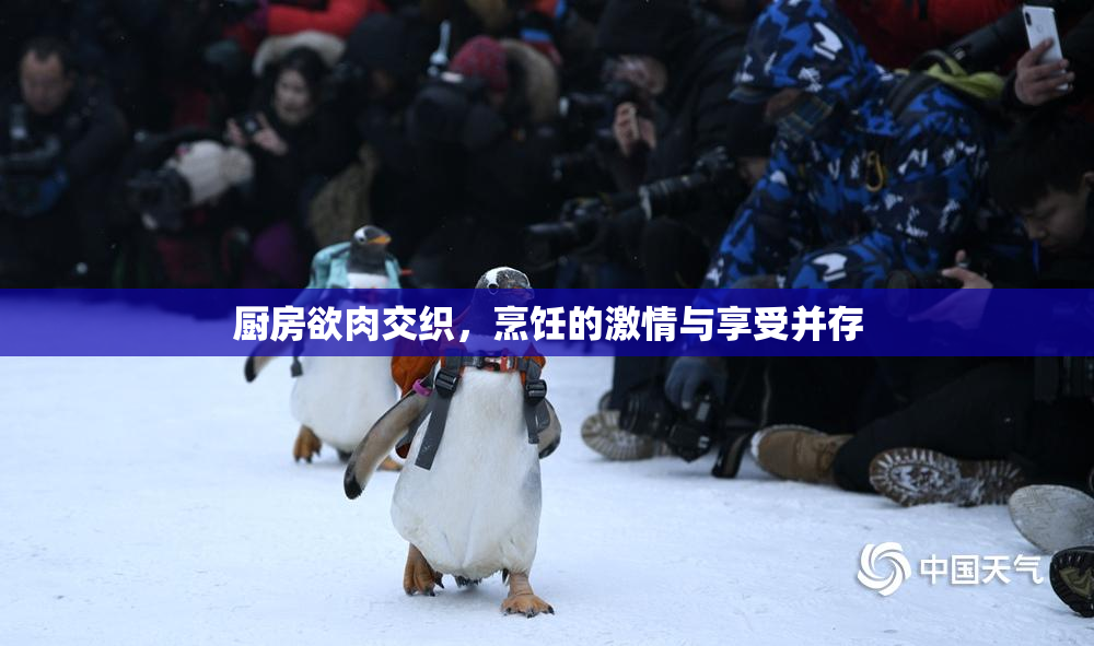 厨房欲肉交织，烹饪的激情与享受并存