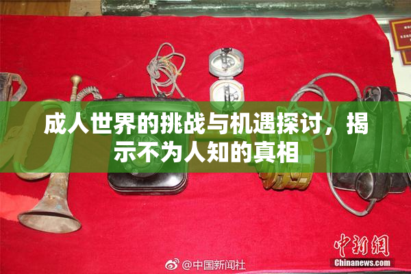 成人世界的挑战与机遇探讨，揭示不为人知的真相