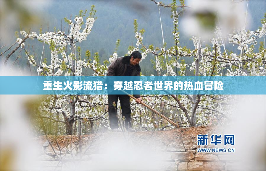 重生火影流猎：穿越忍者世界的热血冒险