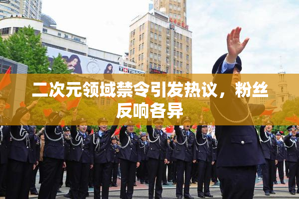 二次元领域禁令引发热议，粉丝反响各异
