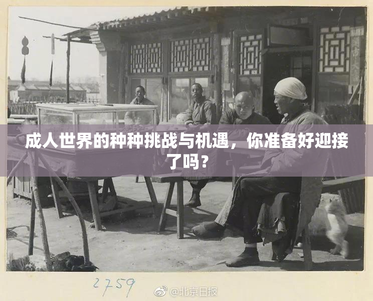 成人世界的种种挑战与机遇，你准备好迎接了吗？