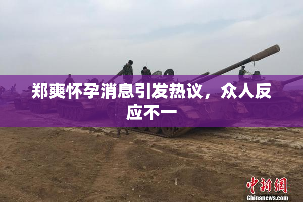 郑爽怀孕消息引发热议，众人反应不一