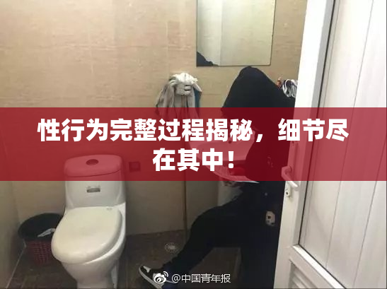 性行为完整过程揭秘，细节尽在其中！