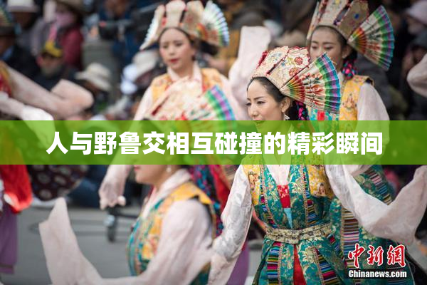 人与野鲁交相互碰撞的精彩瞬间