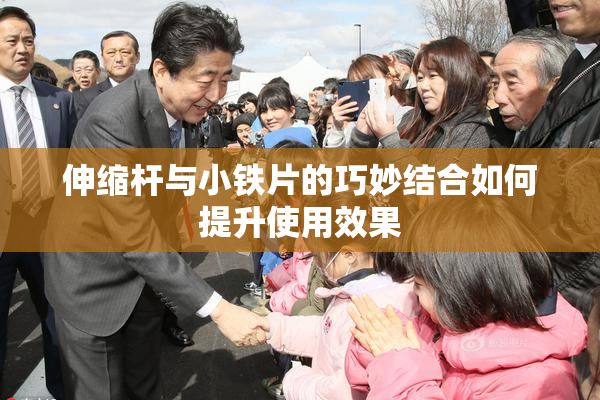 伸缩杆与小铁片的巧妙结合如何提升使用效果