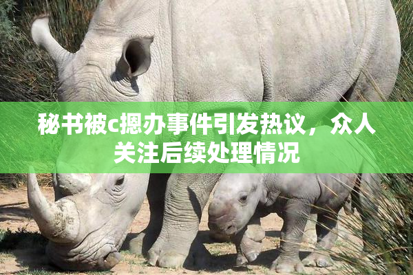 秘书被c摁办事件引发热议，众人关注后续处理情况