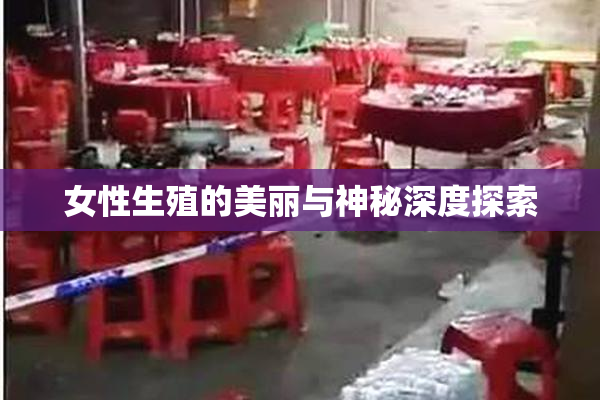 女性生殖的美丽与神秘深度探索
