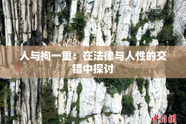 人与拘一重：在法律与人性的交错中探讨