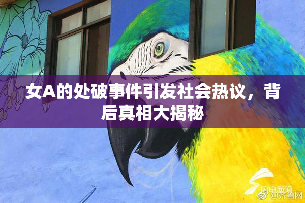 女A的处破事件引发社会热议，背后真相大揭秘