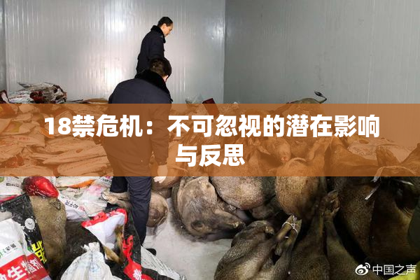 18禁危机：不可忽视的潜在影响与反思