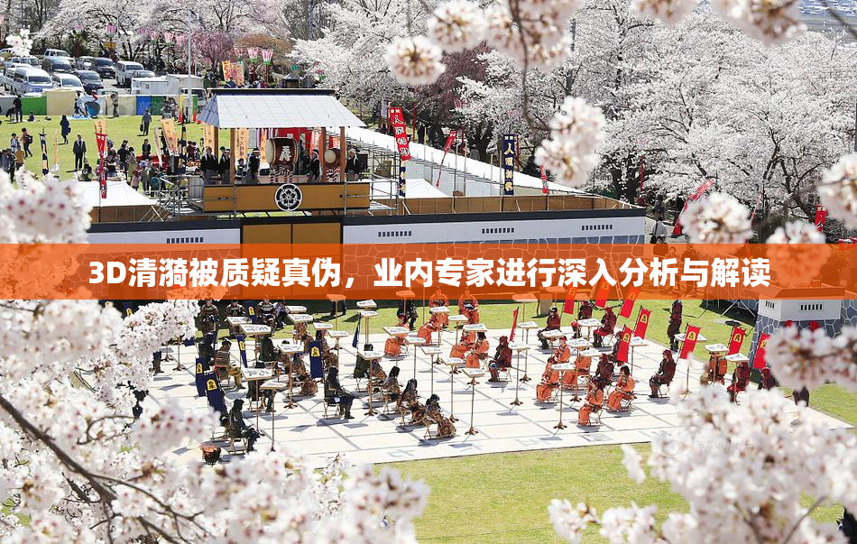 3D清漪被质疑真伪，业内专家进行深入分析与解读