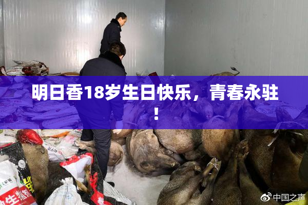 明日香18岁生日快乐，青春永驻！