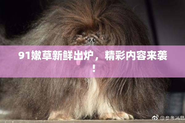 91嫩草新鲜出炉，精彩内容来袭！