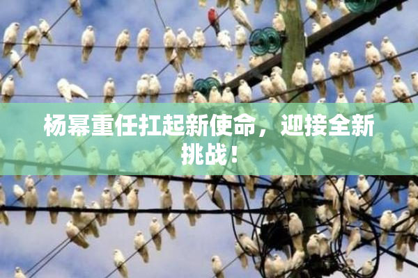 杨幂重任扛起新使命，迎接全新挑战！