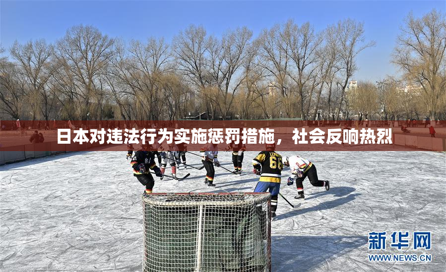 日本对违法行为实施惩罚措施，社会反响热烈