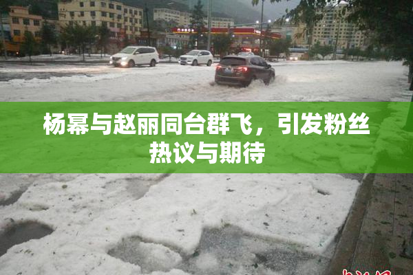 杨幂与赵丽同台群飞，引发粉丝热议与期待