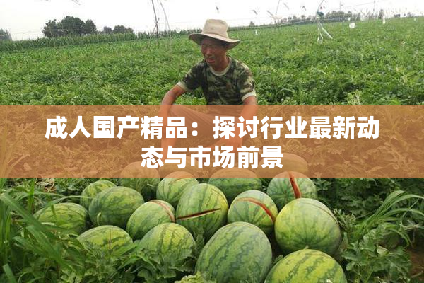 成人国产精品：探讨行业最新动态与市场前景