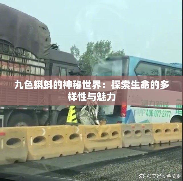 九色蝌蚪的神秘世界：探索生命的多样性与魅力