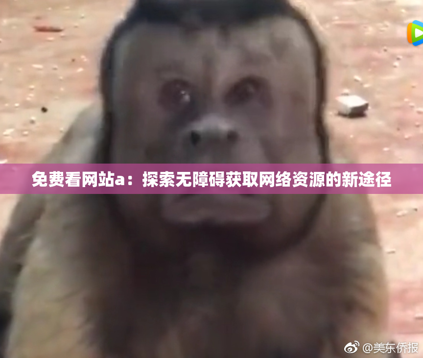 免费看网站a：探索无障碍获取网络资源的新途径