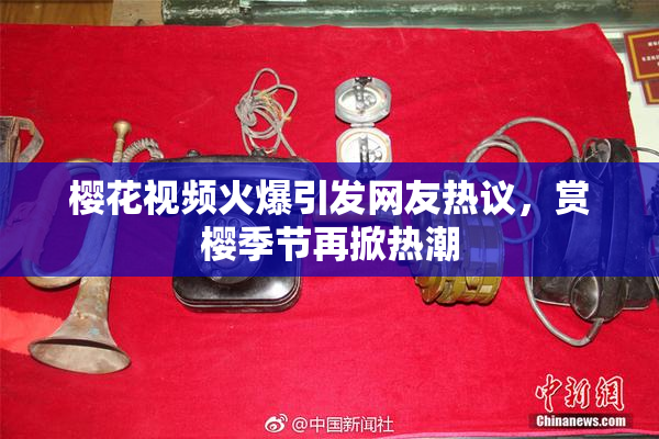 樱花视频火爆引发网友热议，赏樱季节再掀热潮