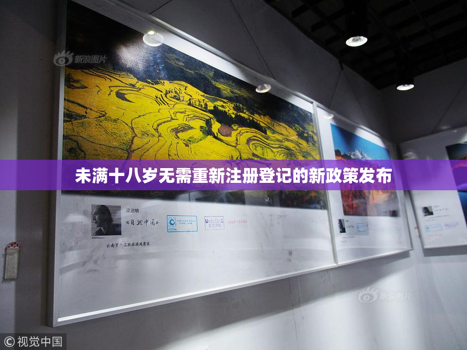 未满十八岁无需重新注册登记的新政策发布