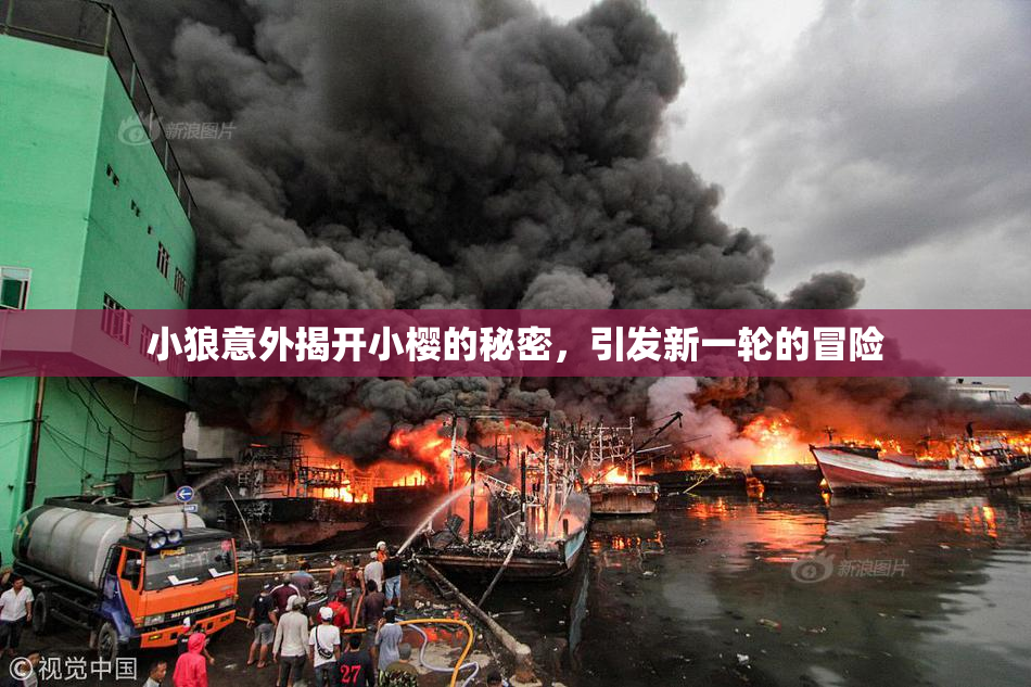 小狼意外揭开小樱的秘密，引发新一轮的冒险