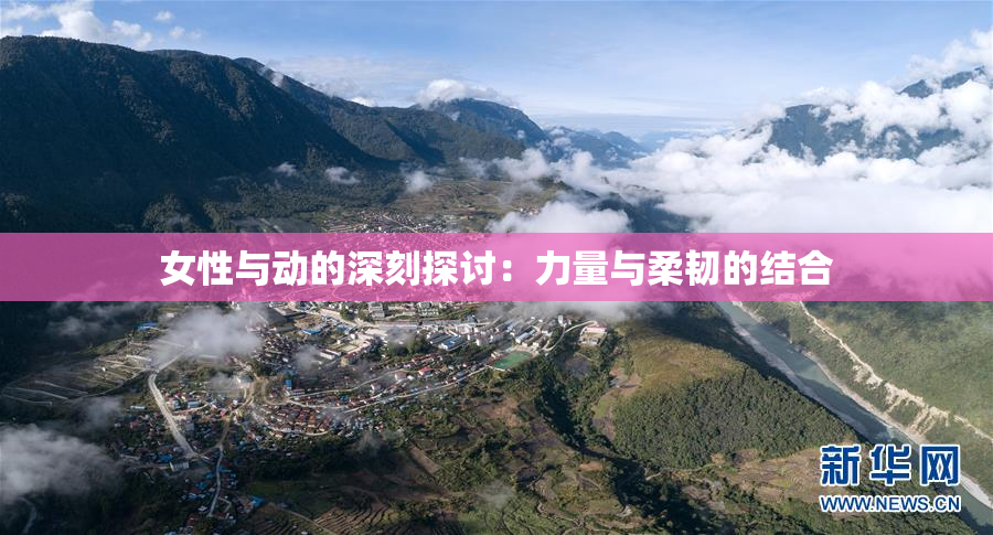 女性与动的深刻探讨：力量与柔韧的结合