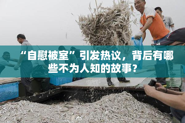 “自慰被室”引发热议，背后有哪些不为人知的故事？