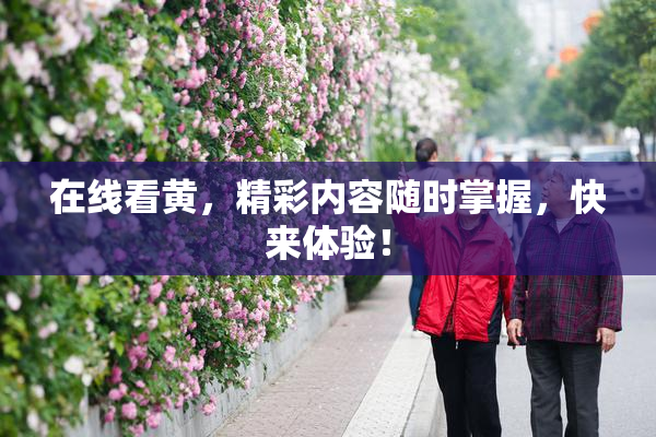 在线看黄，精彩内容随时掌握，快来体验！
