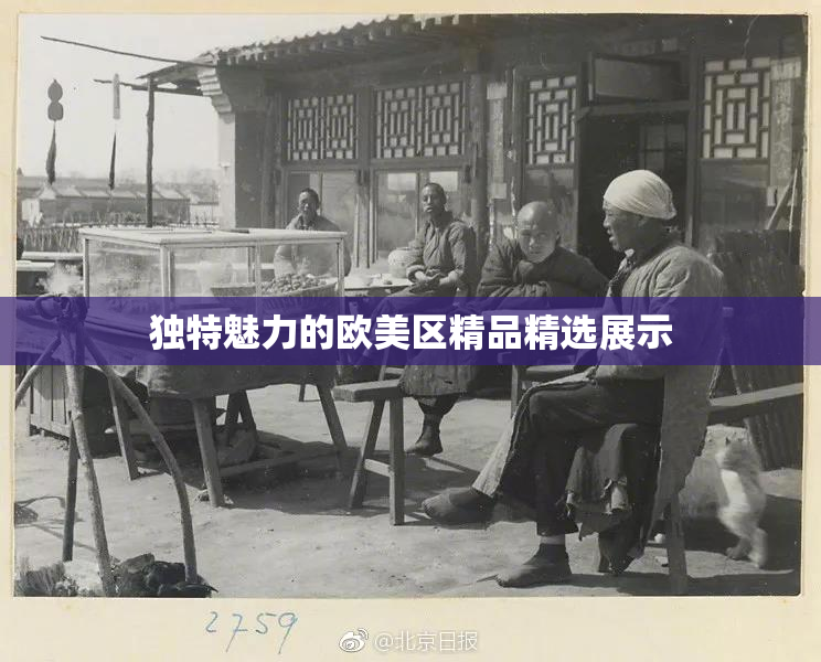 独特魅力的欧美区精品精选展示