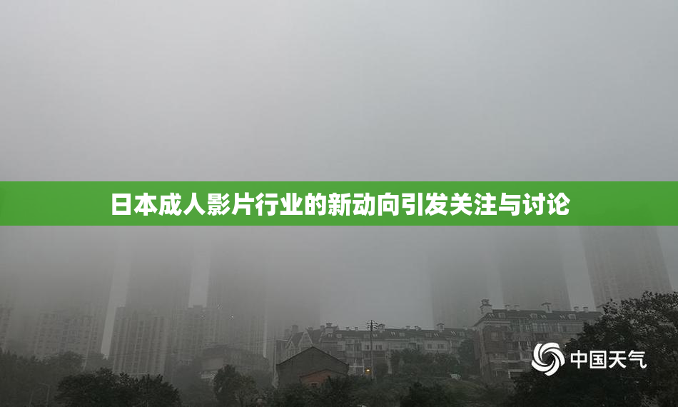 日本成人影片行业的新动向引发关注与讨论
