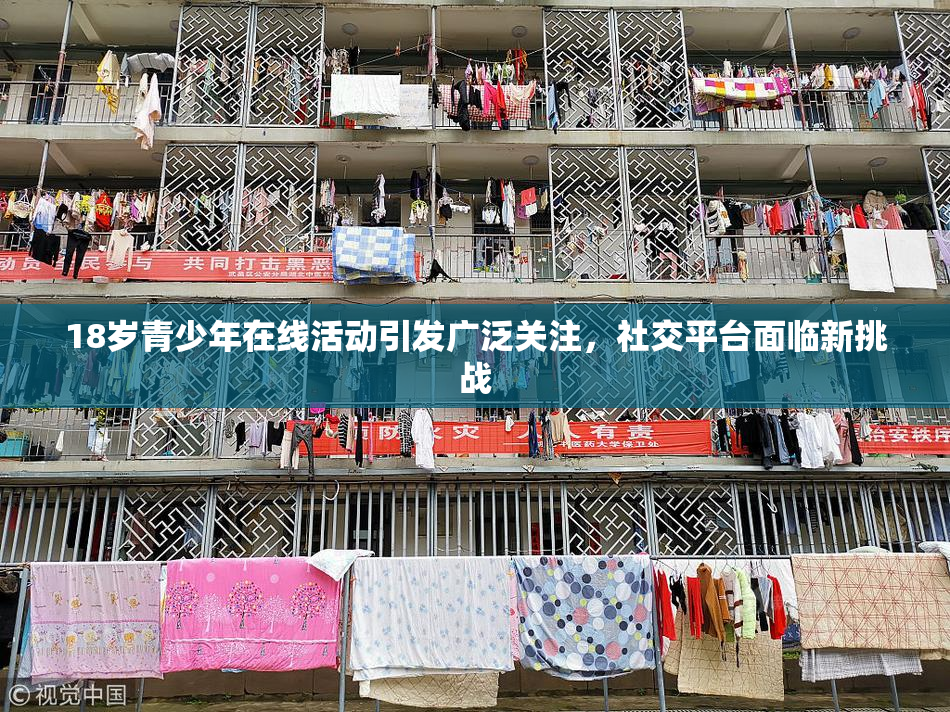 18岁青少年在线活动引发广泛关注，社交平台面临新挑战