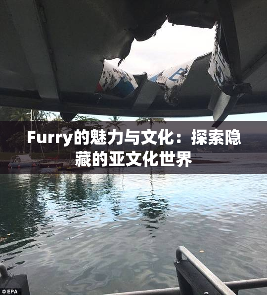 Furry的魅力与文化：探索隐藏的亚文化世界